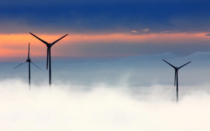 Read more about the article Global WAN Buyers: Benefiting from Disruptive Technologies