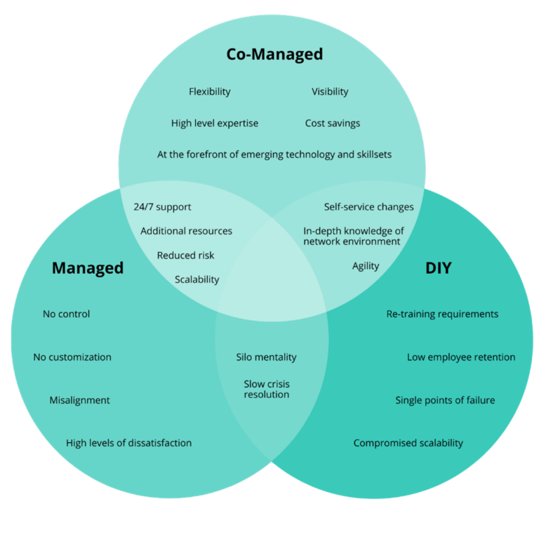 co-managed services venn diagram