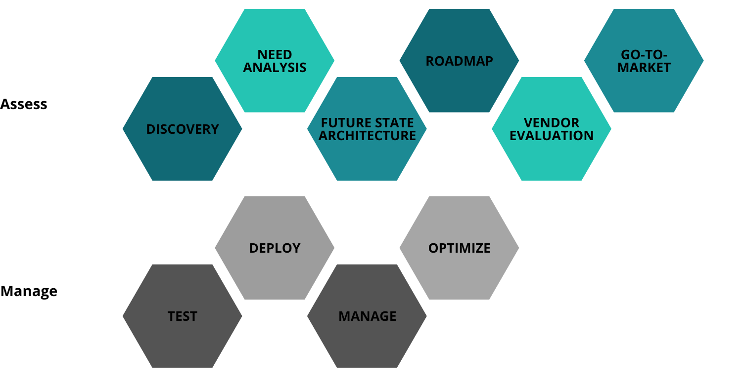 Assess and Manage Services format