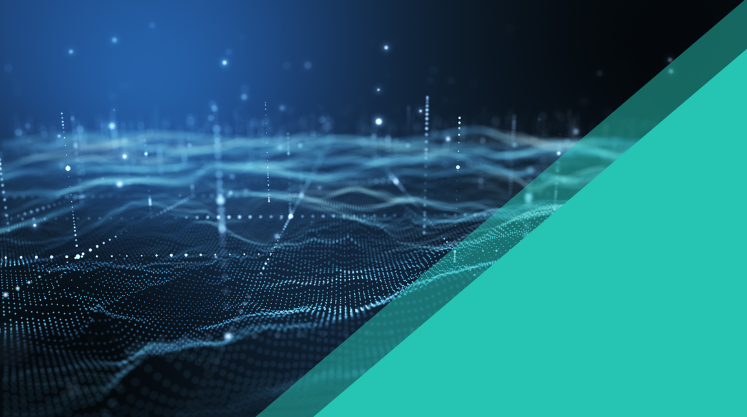 Telco-Independent Networks​